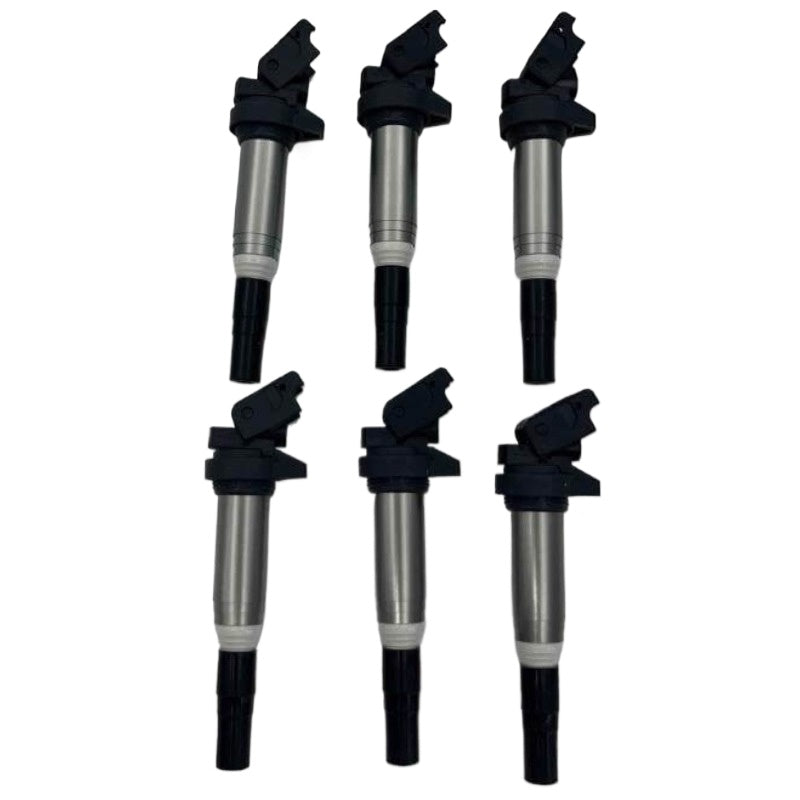 6PCS Delphi Ignition Coils 12138616153 Metal Set Fits For BMW 135i 335i 325i 535i X6 Z4 X3 X5