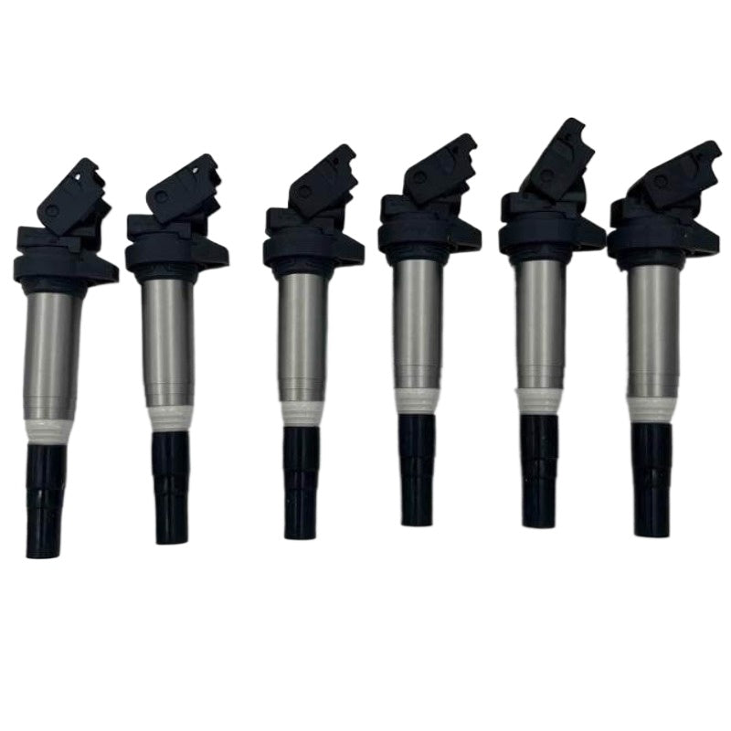 6PCS Delphi Ignition Coils 12138616153 Metal Set Fits For BMW 135i 335i 325i 535i X6 Z4 X3 X5