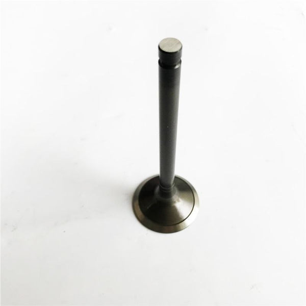 15221-13110 15221-13120 intake and exhaust valve