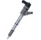 0445110443 1100100ED01B Common Rail Fuel Injector for Bosch Great Wall 4D20 haval wingle 2.0 Lt engine
