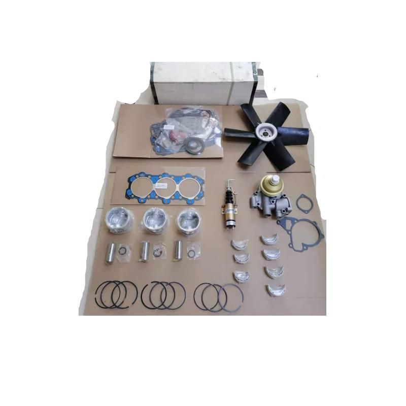 In Stock Full Overhaul Kit for Lister Petter LPW3