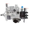 2643D641 2643D642 2643D643 2643D644 Fuel Injection Pump for FG Wilson Delphi Perkins 1000 Series Engine
