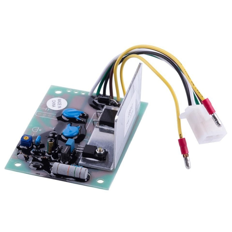 Automatic Voltage Regulation AVR Robin RGV12100